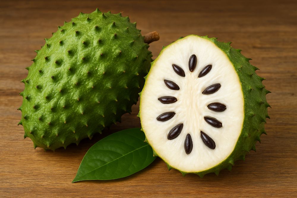 guanabana-frucht-latinando