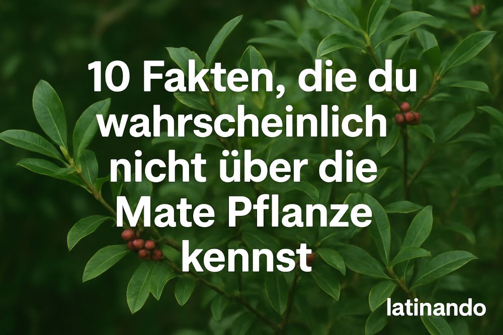 10-fakten-mate-planze